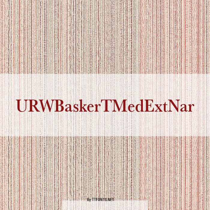 URWBaskerTMedExtNar example
