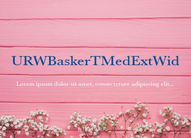 URWBaskerTMedExtWid example