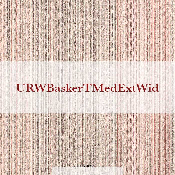 URWBaskerTMedExtWid example