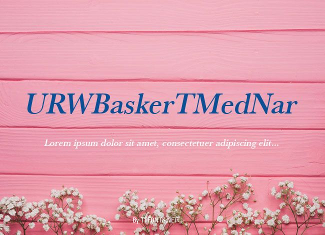 URWBaskerTMedNar example