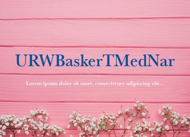 URWBaskerTMedNar example