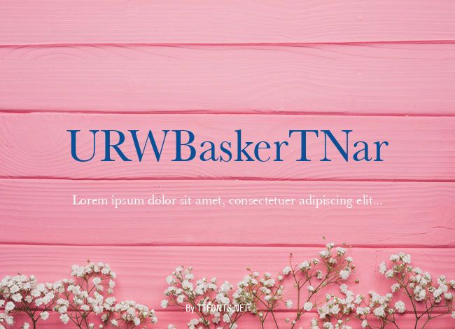 URWBaskerTNar example