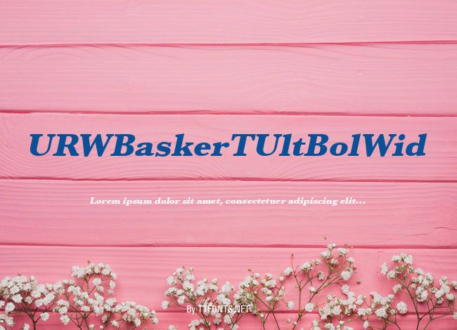 URWBaskerTUltBolWid example