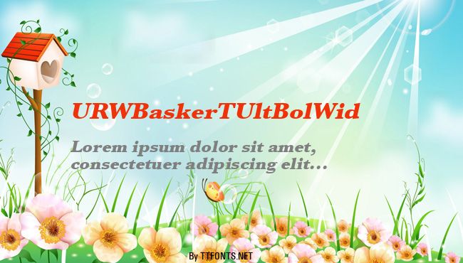 URWBaskerTUltBolWid example