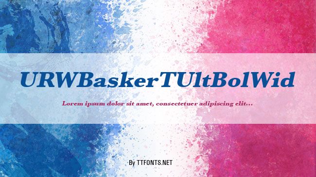 URWBaskerTUltBolWid example