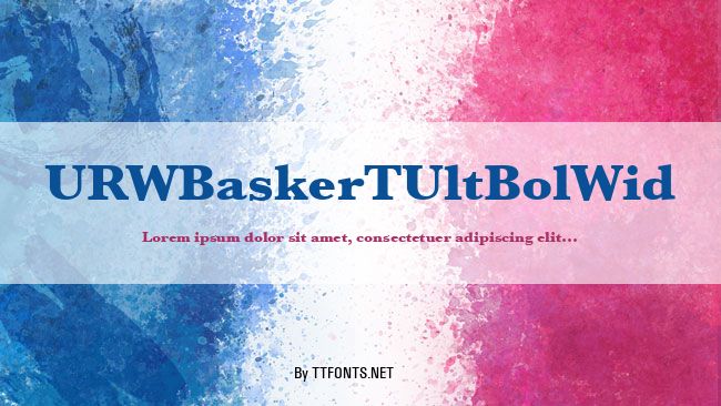 URWBaskerTUltBolWid example