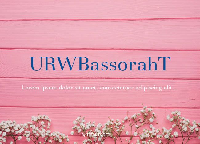 URWBassorahT example