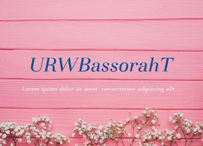 URWBassorahT example
