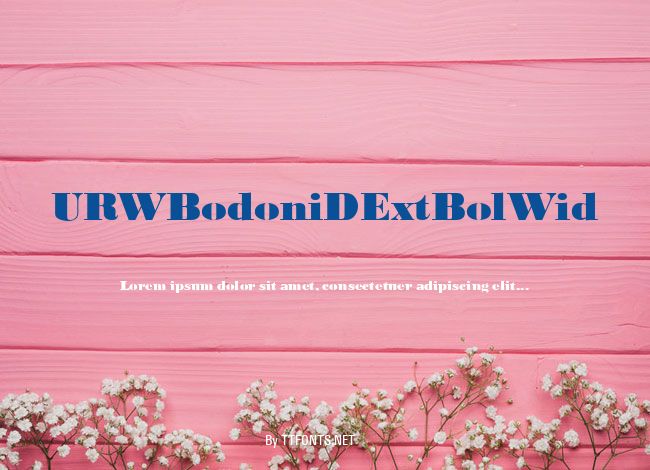 URWBodoniDExtBolWid example