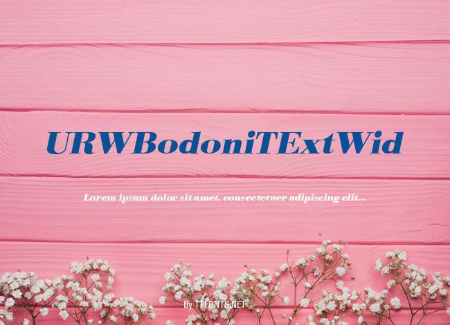 URWBodoniTExtWid example