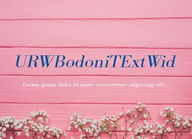 URWBodoniTExtWid example