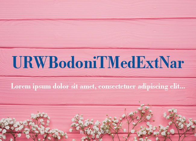 URWBodoniTMedExtNar example