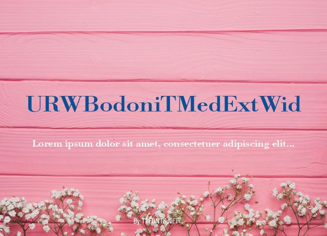 URWBodoniTMedExtWid example