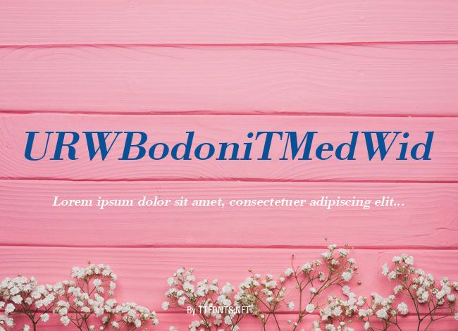 URWBodoniTMedWid example