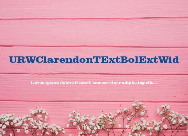 URWClarendonTExtBolExtWid example