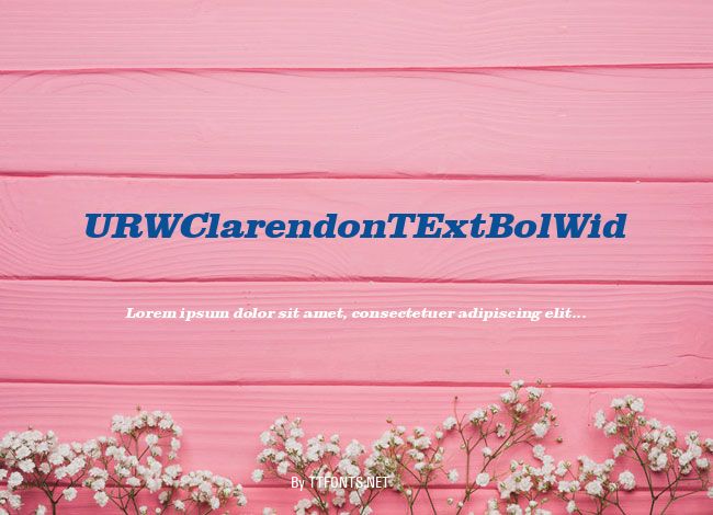 URWClarendonTExtBolWid example