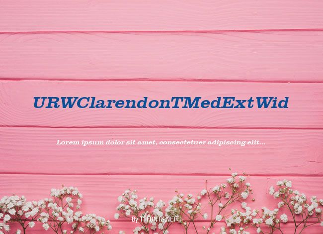 URWClarendonTMedExtWid example