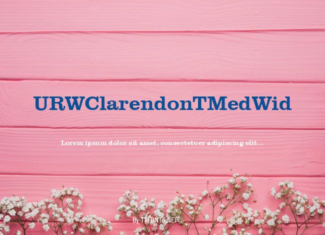 URWClarendonTMedWid example