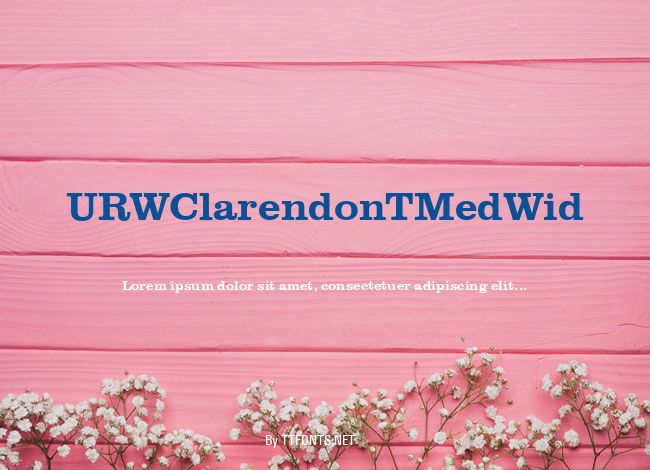 URWClarendonTMedWid example