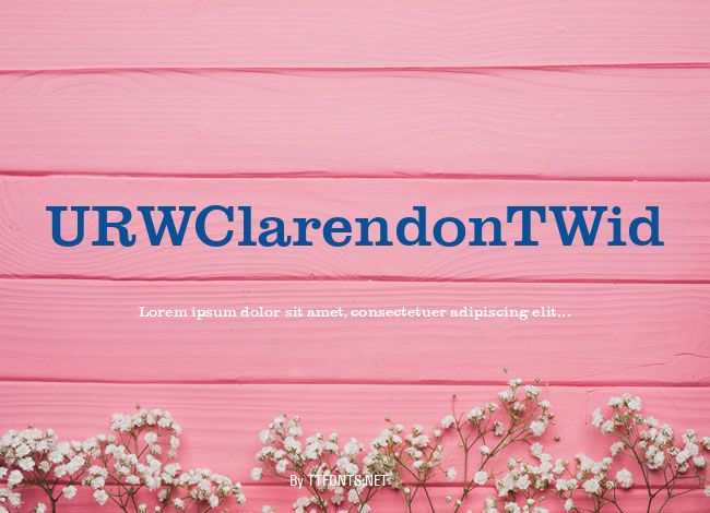 URWClarendonTWid example