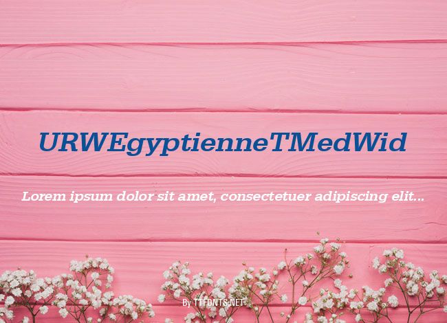 URWEgyptienneTMedWid example