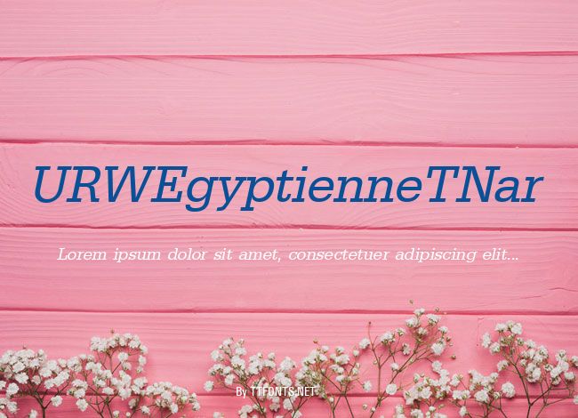 URWEgyptienneTNar example