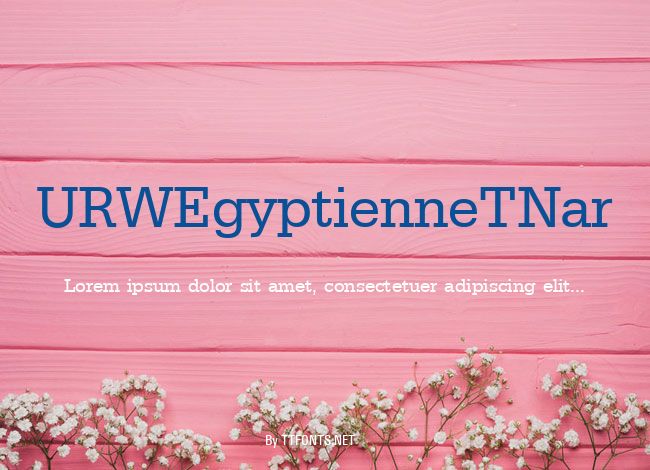 URWEgyptienneTNar example