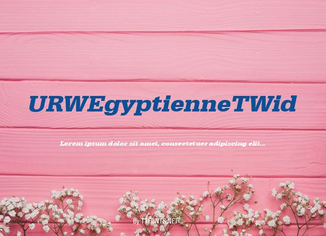 URWEgyptienneTWid example