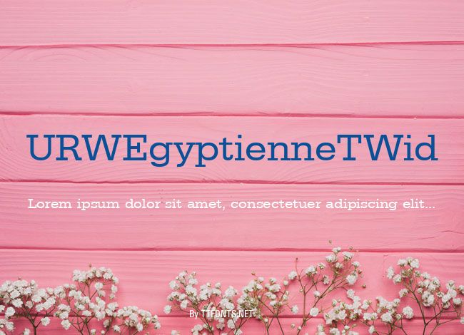URWEgyptienneTWid example