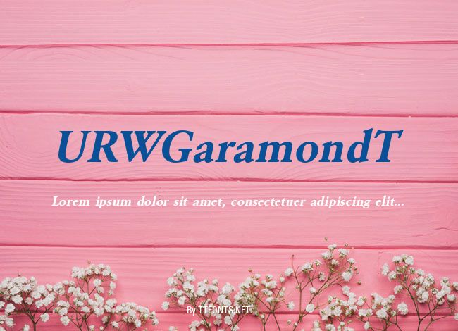 URWGaramondT example