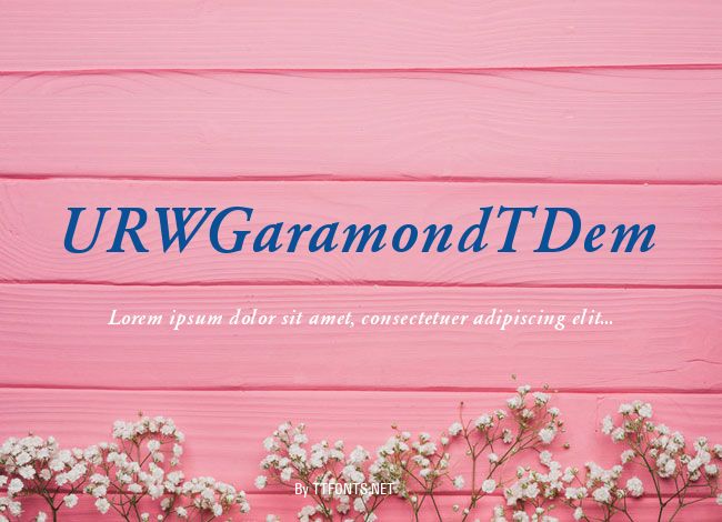 URWGaramondTDem example