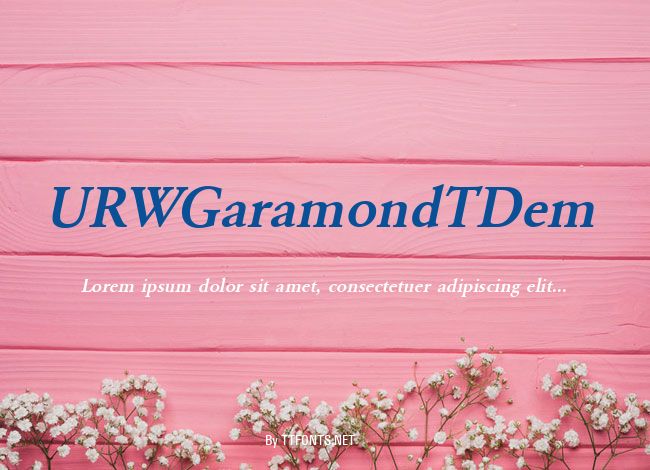 URWGaramondTDem example
