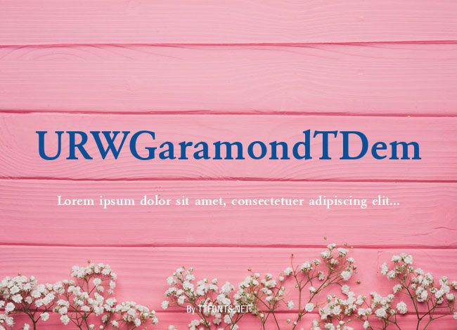 URWGaramondTDem example