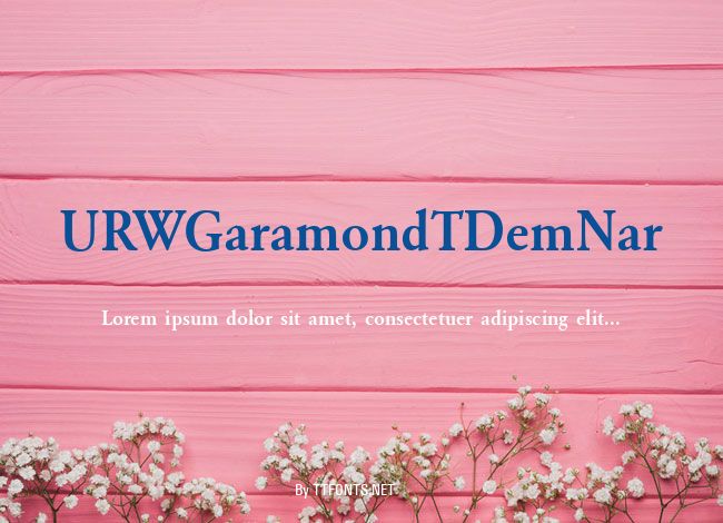 URWGaramondTDemNar example
