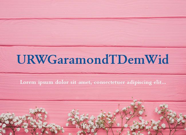 URWGaramondTDemWid example