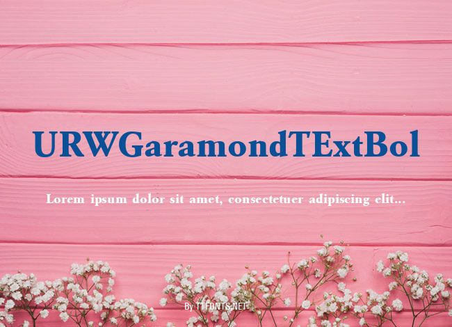 URWGaramondTExtBol example