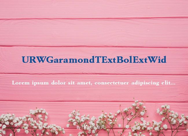 URWGaramondTExtBolExtWid example