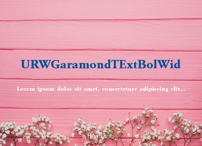 URWGaramondTExtBolWid example