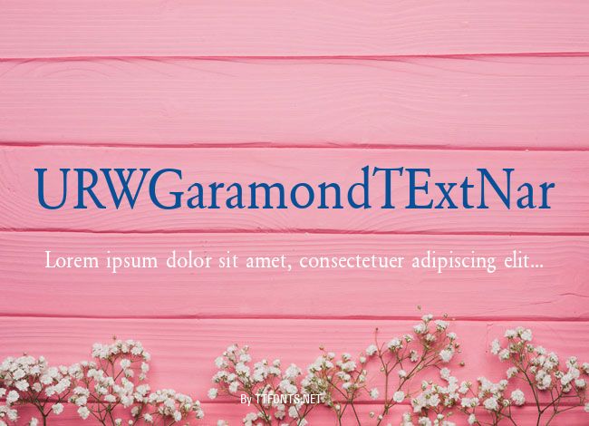 URWGaramondTExtNar example