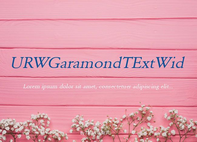 URWGaramondTExtWid example