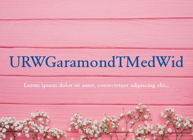 URWGaramondTMedWid example