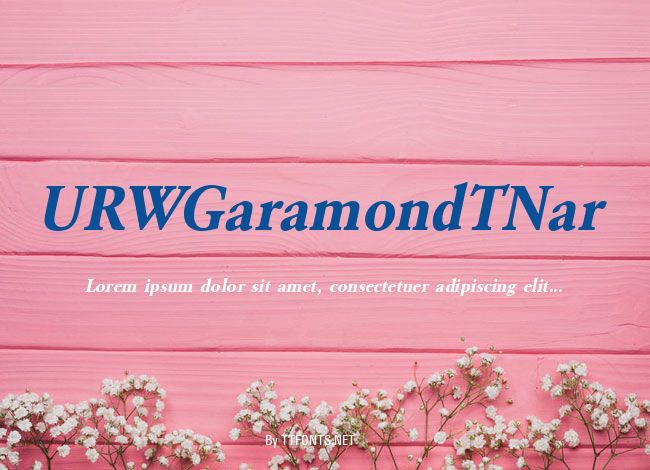 URWGaramondTNar example