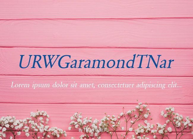 URWGaramondTNar example
