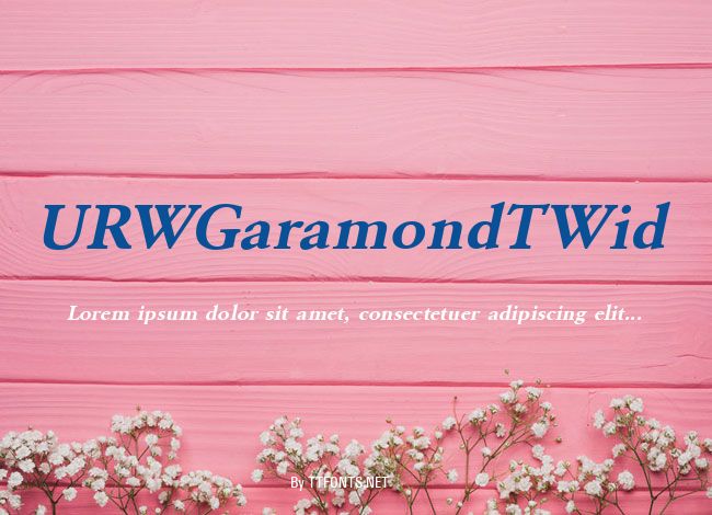 URWGaramondTWid example