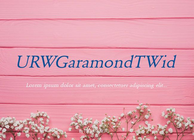 URWGaramondTWid example