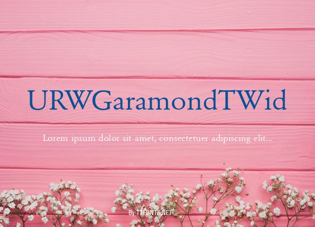 URWGaramondTWid example