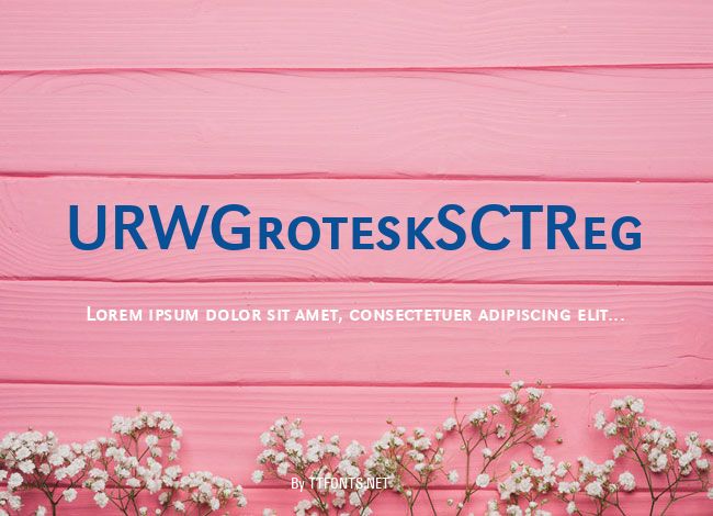 URWGroteskSCTReg example