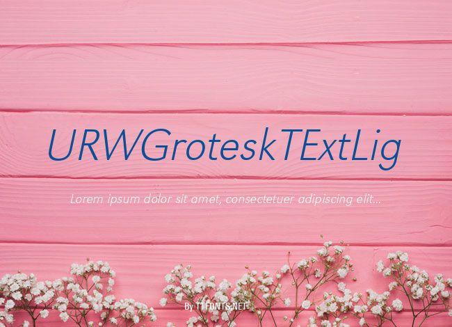 URWGroteskTExtLig example