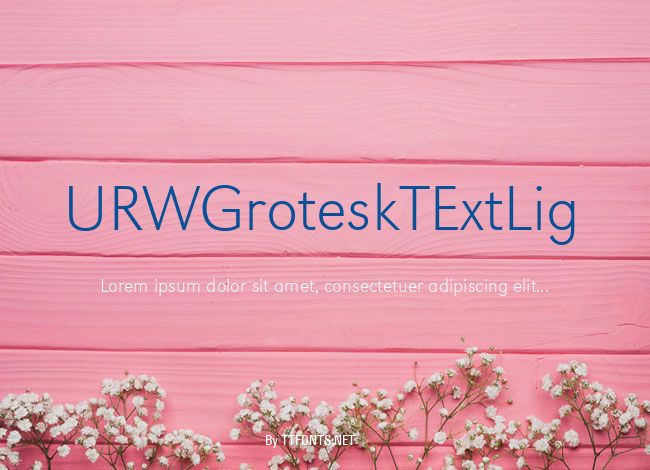 URWGroteskTExtLig example