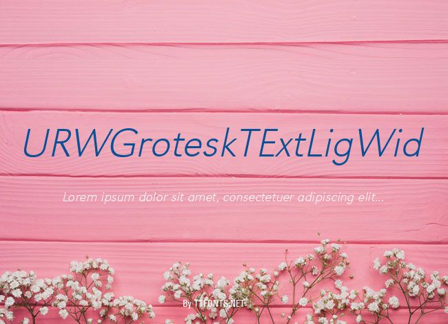 URWGroteskTExtLigWid example